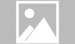 知了视频,探索科技与生活的无限可能